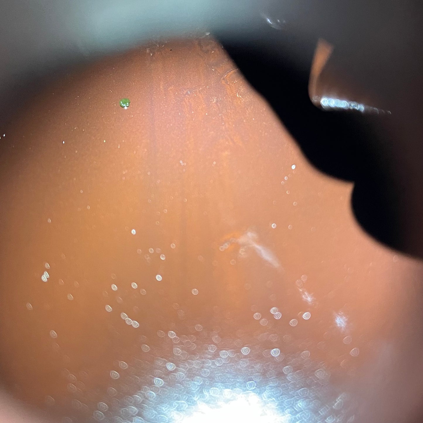 1972/4 SEARS 72241 SINGLE MANTLE