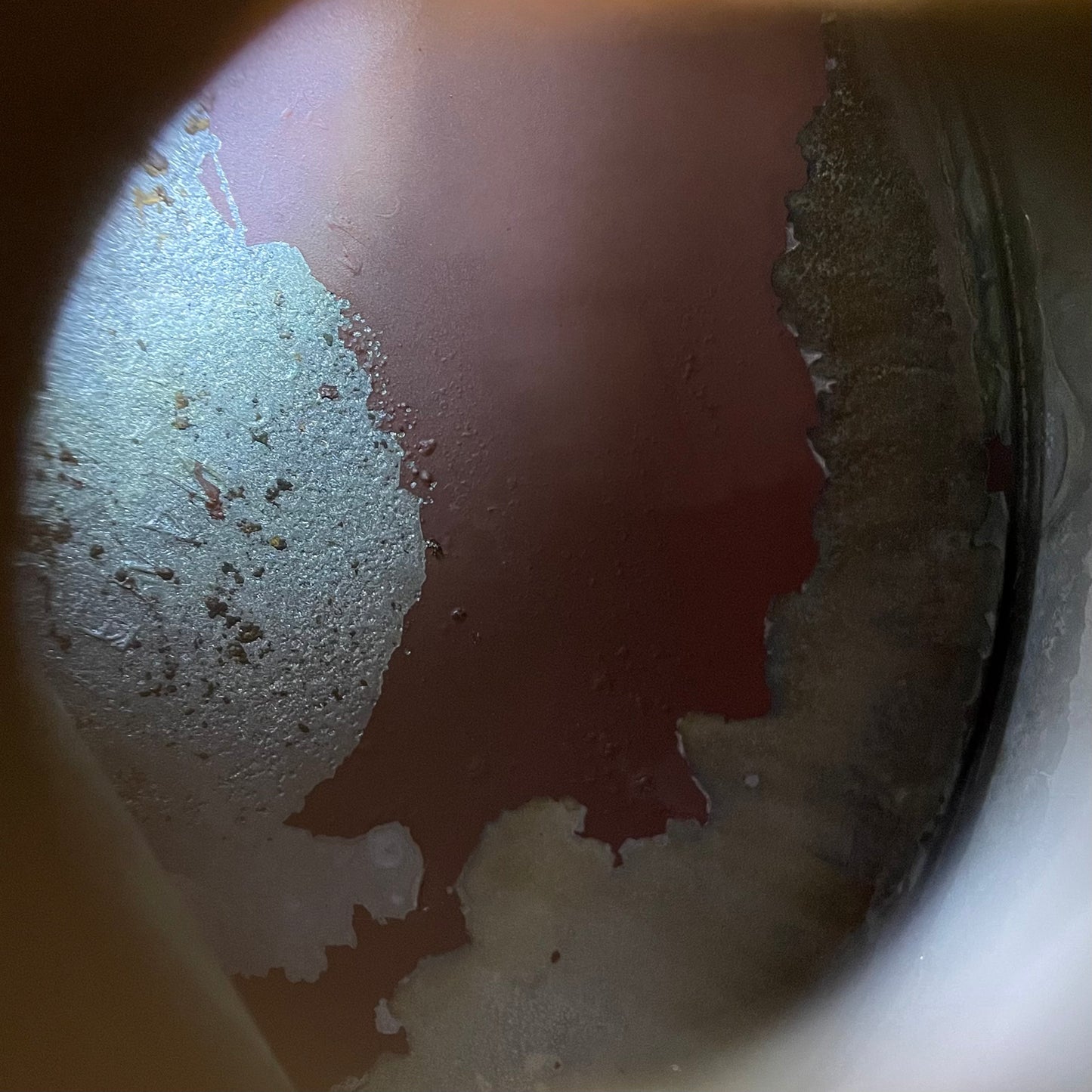 1972/1 COLEMAN 228F   GOLD BOND