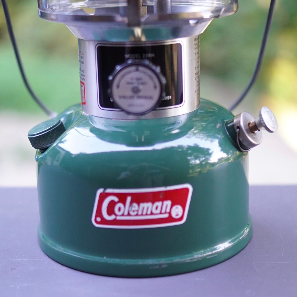 1973/8 COLEMAN 228H