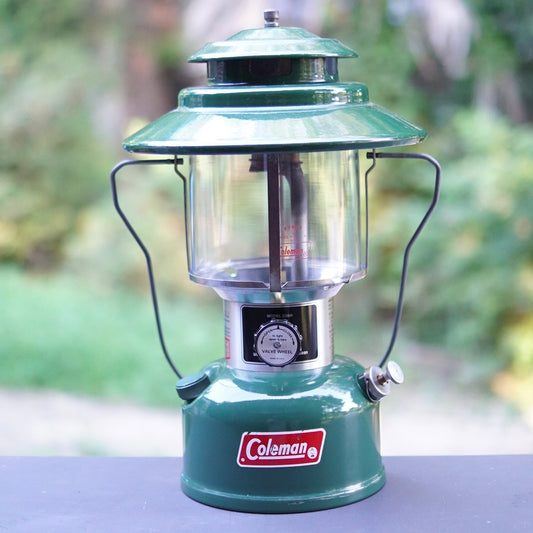 1973/8 COLEMAN 228H